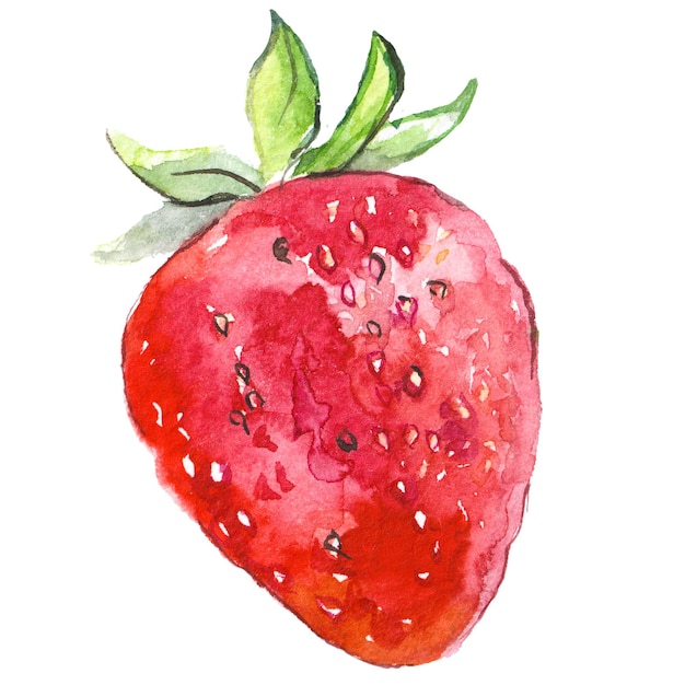 Fraise peinte à l'aquarelle Éléments de conception d'aliments frais dessinés à la main isolés sur fond blanc