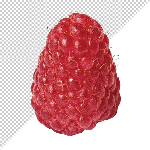 Framboise Mûre Sur Fond Transparent