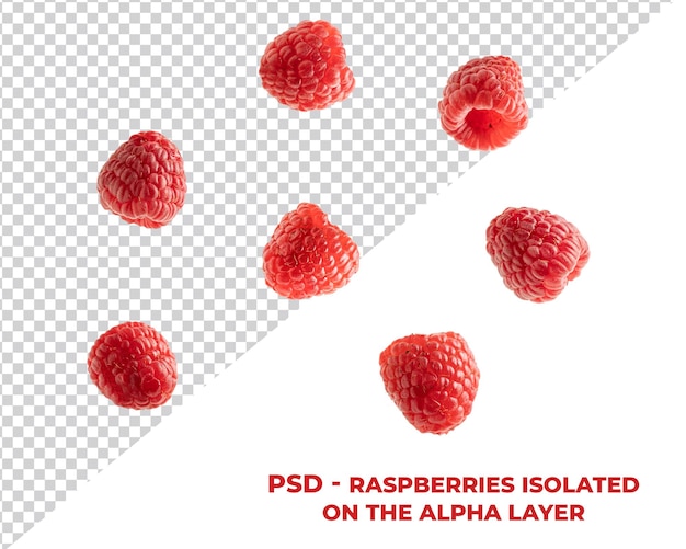 Framboise PSD isolée sur la couche alpha