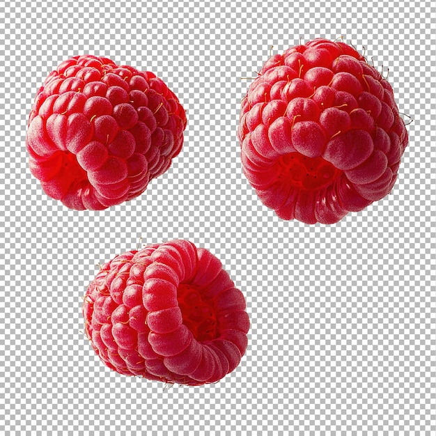 Framboises avec des feuilles isolées sur fond blanc