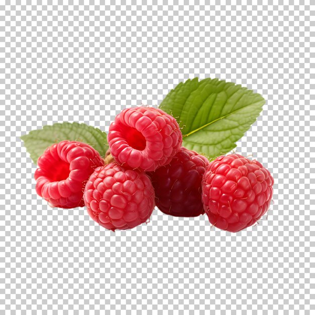 PSD des framboises fraîches isolées sur un fond transparent.