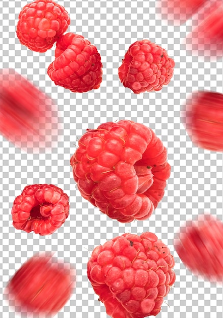 Des framboises rouges qui tombent, qui lévitent, qui volent sur un fond transparent.