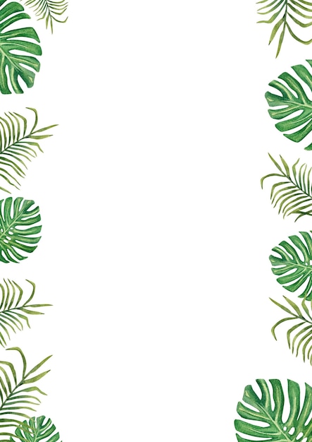 Frame de folhas de monstera e folhas de palmeira