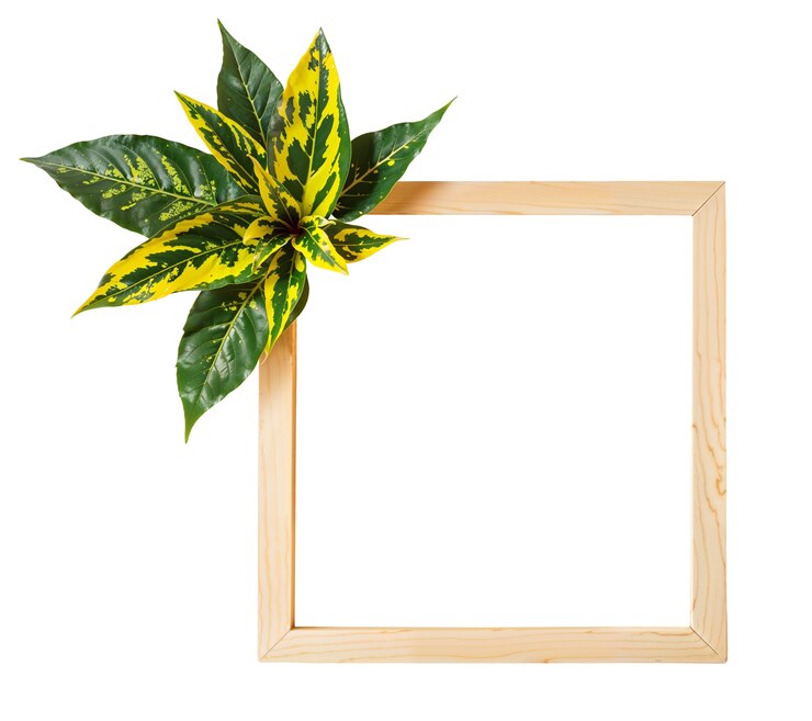 PSD frame de folhas isolado