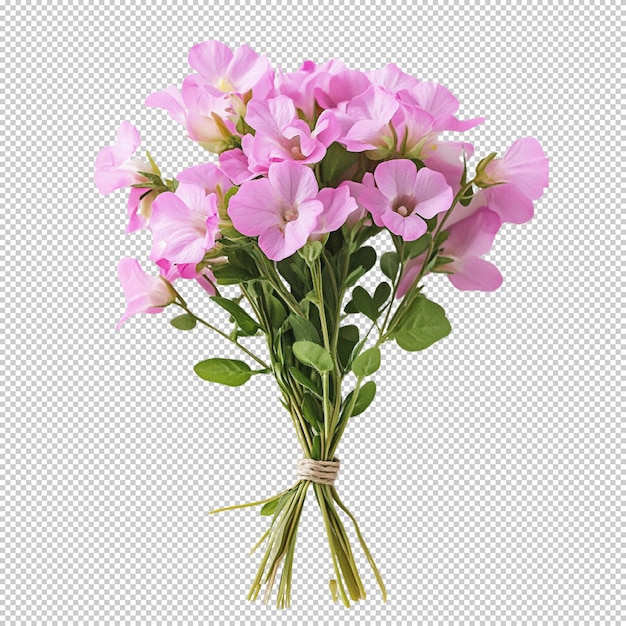 Freesia Blume png isoliert auf durchsichtigem Hintergrund