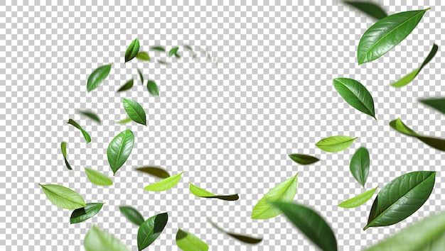 Frescura de vegetação deixa torção fluindo no ar recorte de fundos transparentes renderização 3D PSD
