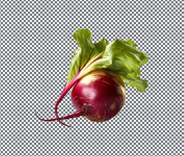 Fresh and beautiful Touchstone Gold Beet isolated on transparent background