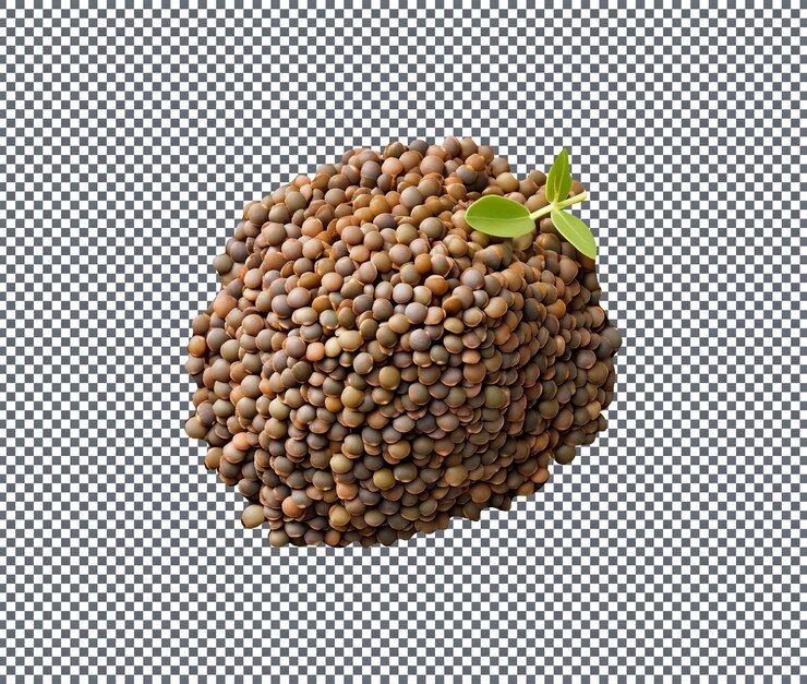 PSD fresh french lentils isolated on white background