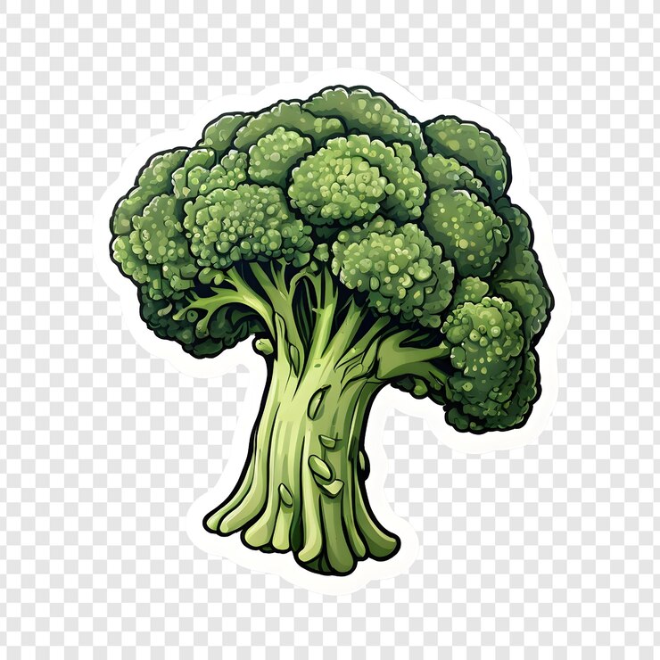PSD fresh green broccoli florets vegetable healthy food diet
