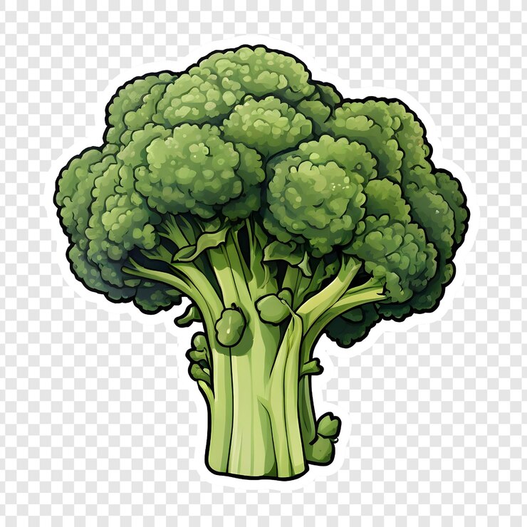 PSD fresh green broccoli florets vegetable healthy food diet