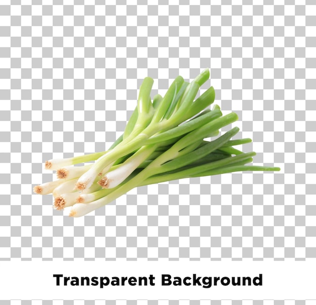 Fresh Green Onions