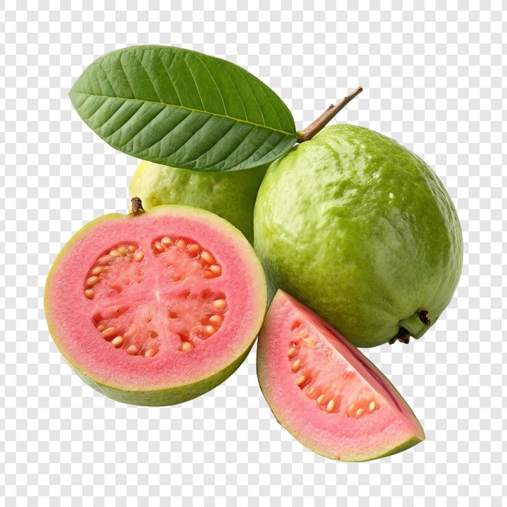 Fresh Juicy Guava glossy fruit skin