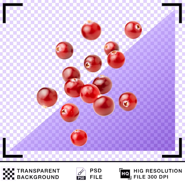 Fresh red cranberries with a transparent background