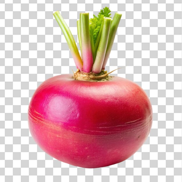 fresh red round turnip radish isolated on transparent background