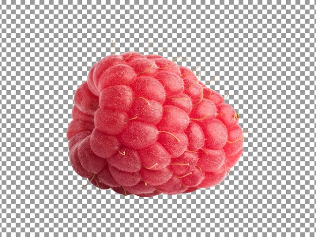 fresh single raspberry isolated on transparent background