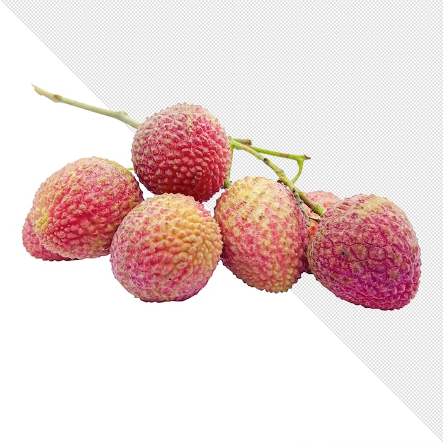 Freshly picked bunch of ripe lychees