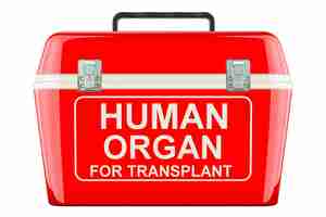 PSD frigorífico portátil para el transporte de órganos donantes refrigerador de trasplantes rendering 3d aislado sobre un fondo transparente