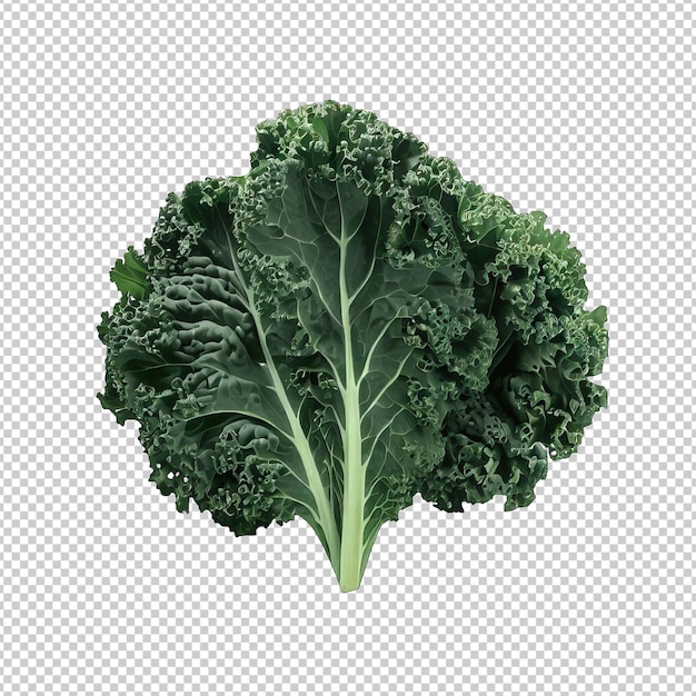 Frisch aus der Gartenkohl-Artistik