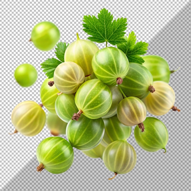 Frische Amla-Früchte, isoliert auf durchsichtigem Hintergrund, Stachelbeerenfrüchte