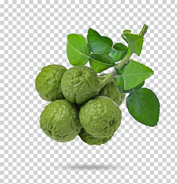 PSD frische begamot mit isolierten blättern premium psd