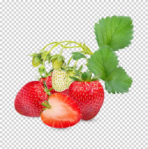 PSD frische erdbeeren mit blume isoliert premium psd