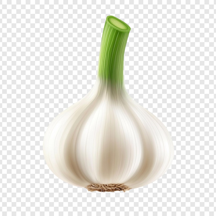 PSD frische knoblauchzwiebeln