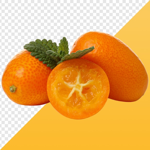 Frische Kumquats mit Minze