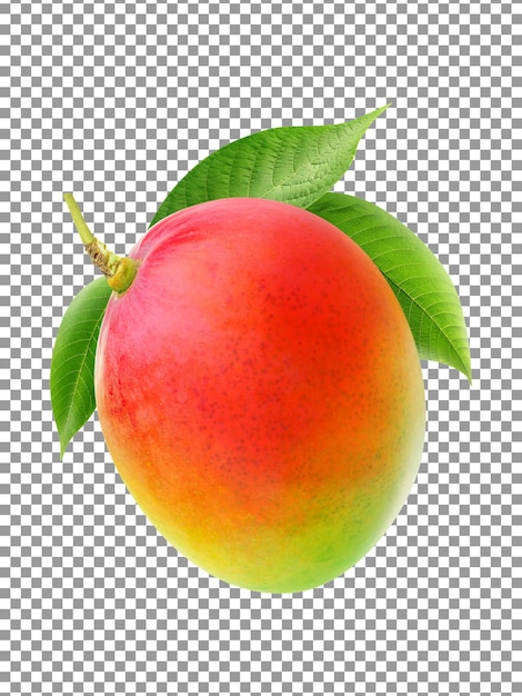 Frische leckere rote Mangofrucht mit einem Blatt auf transparentem Hintergrund