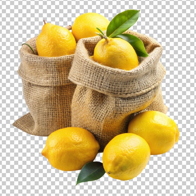 frische, leckere Zitronenfrüchte in Sacktuchsäcken png