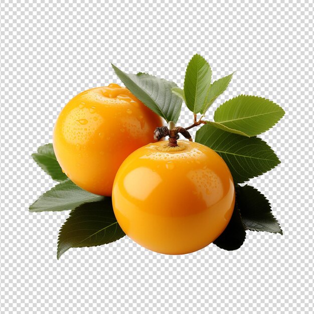 PSD frische loquat-früchte mit isolierten blättern auf weißem hintergrund