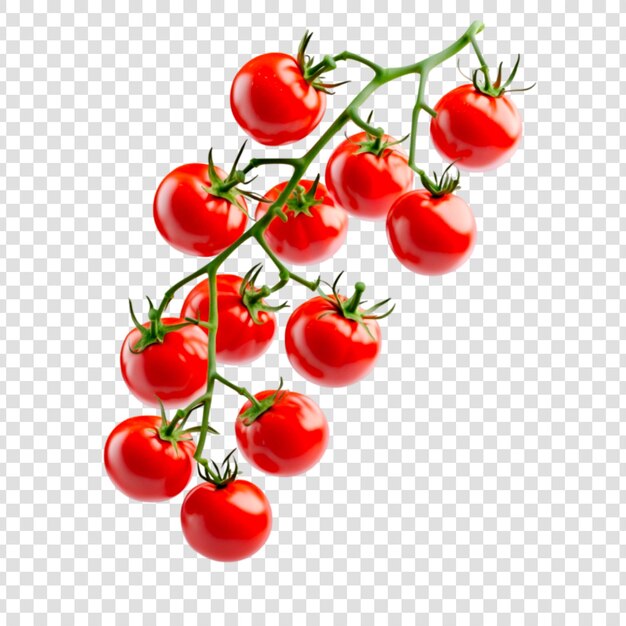 Frische rote Kirschtomaten auf der Rebe Gesundes Essen Zutaten