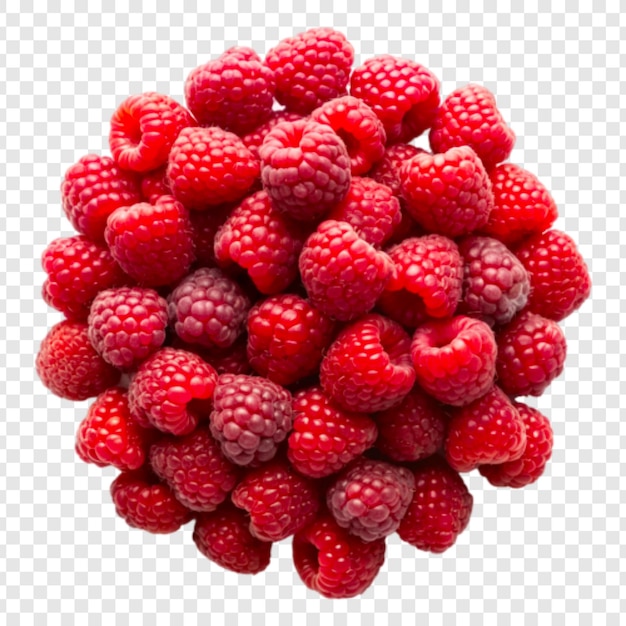 Frische und reife rote Himbeeren auf durchsichtigem Hintergrund