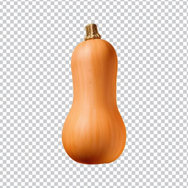 frischer Butternut-Kürbis auf isolierter, durchsichtigem Hintergrund