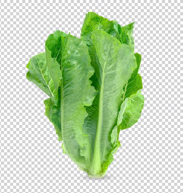 Frischer Salat isoliert Premium PSD