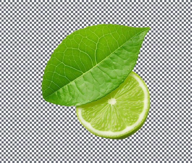 Frisches Zitrusblatt auf durchsichtigem Hintergrund