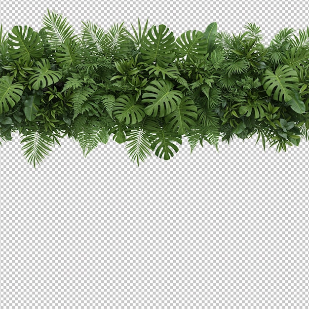 Frontera de frondoso follaje tropical sobre un fondo blanco
