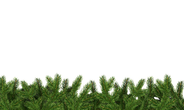 Frontera de invierno con ramas realistas del árbol de Navidad Elemento de Navidad para el festival