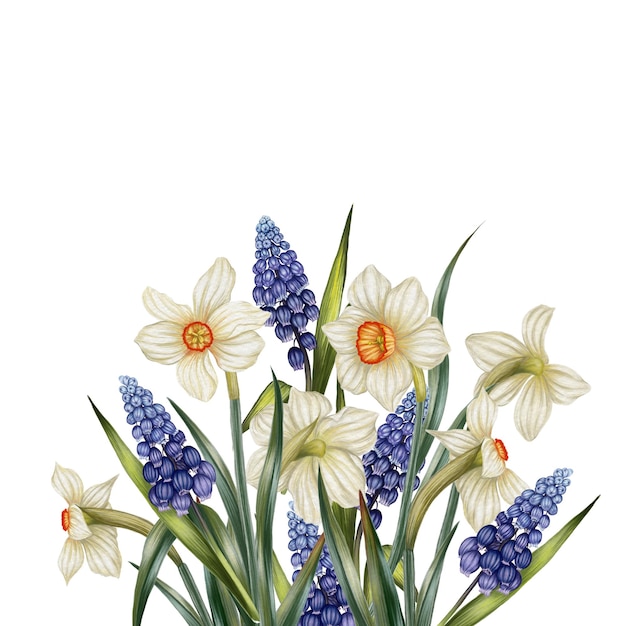 Frühlings-Narzissen- und Muscari-Bouquet