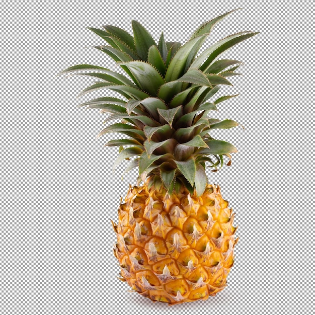 Fruit d'ananas mûr isolé sur fond alpha