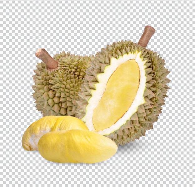 Fruit Durian Frais Isolé Psd Premium