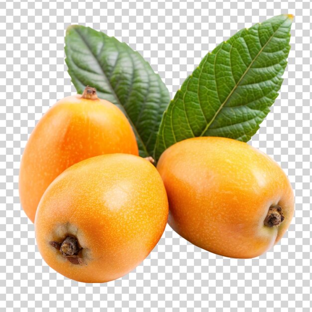 PSD fruit de loquat isolé sur un fond transparent