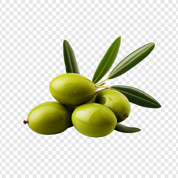 PSD fruit d'olive isolé sur fond transparent