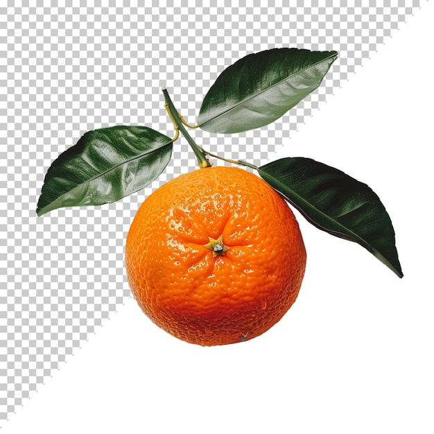 PSD fruit d'orange isolé sur fond transparent