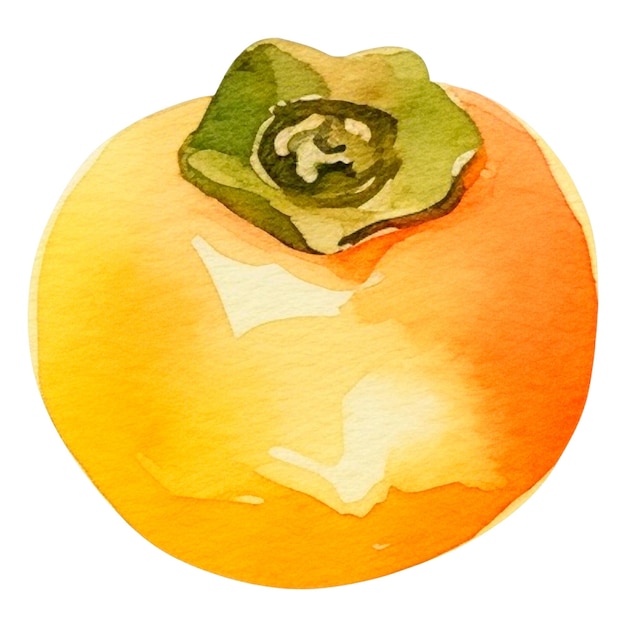 PSD fruit de persimmon peint à l'aquarelle, élément de conception d'aliments frais dessiné à la main isolé sur fond blanc