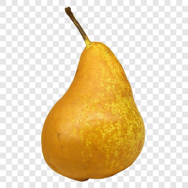 Fruit de poire transparent