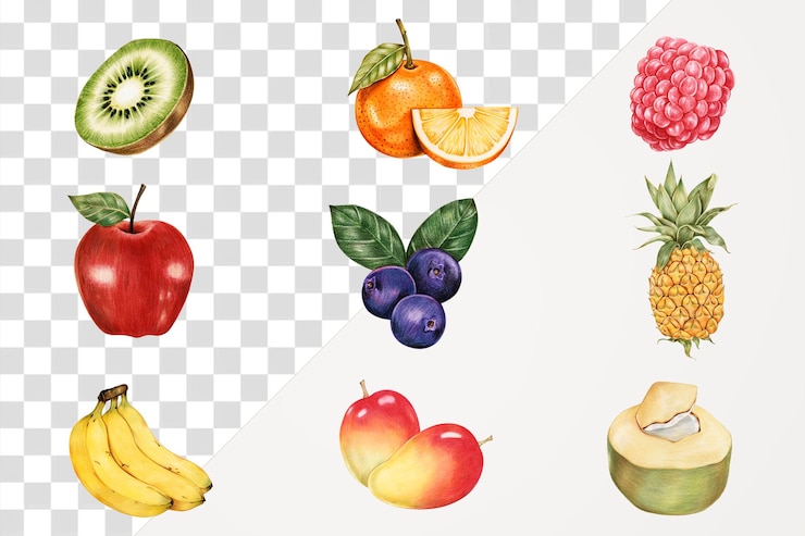 PSD fruits d'été collection vintage png dessinée à la main