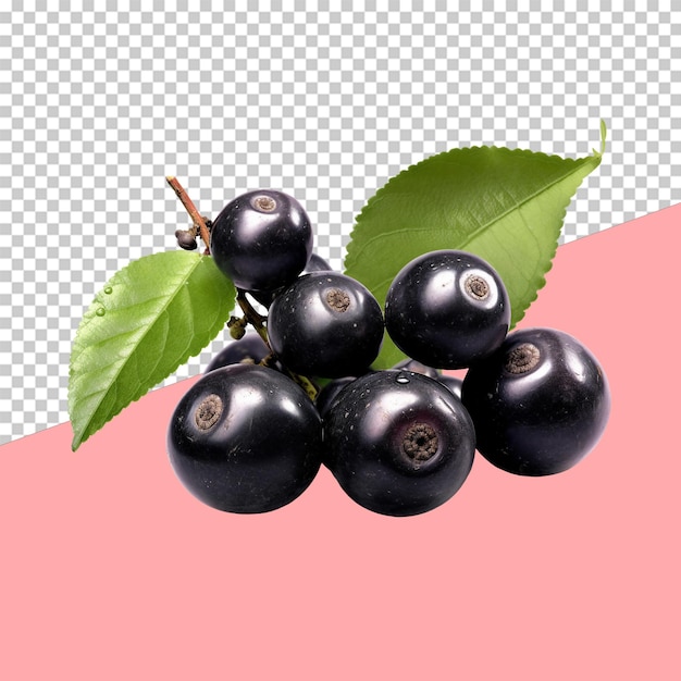 PSD fruits de jabuticaba