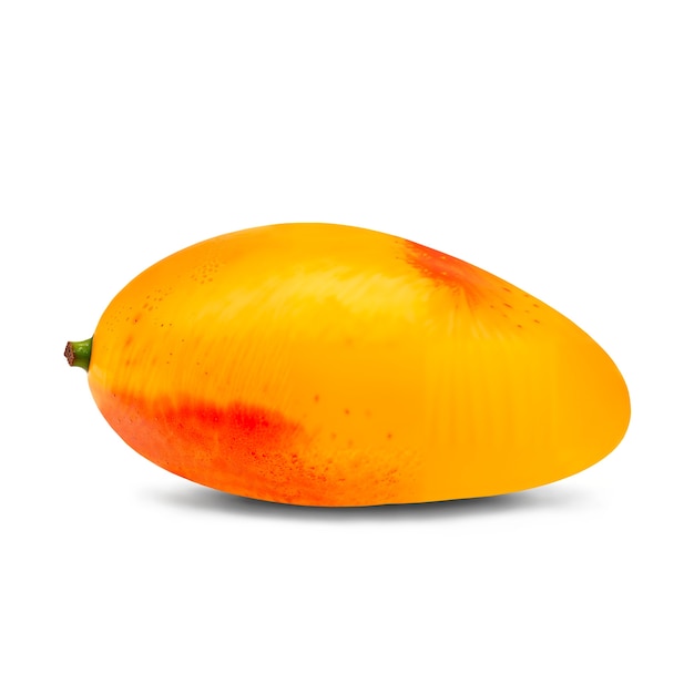 Fruits de mangue isolés