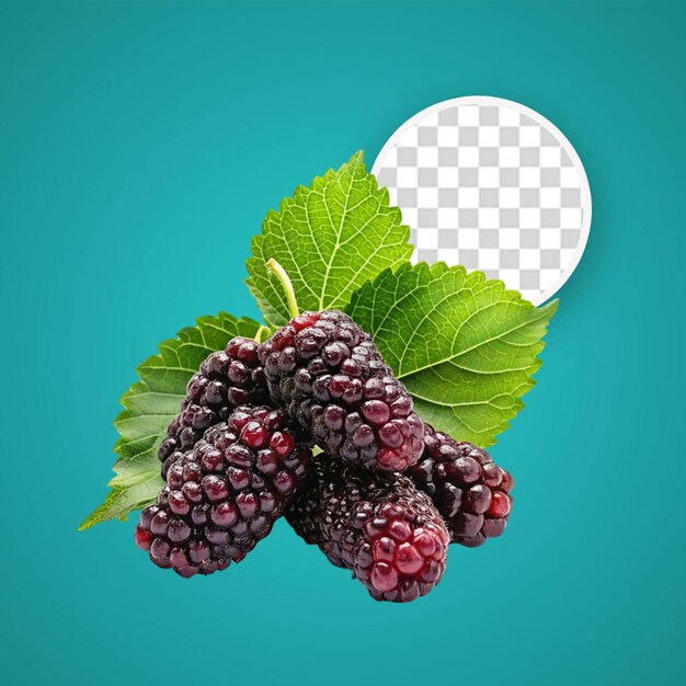 PSD fruits de mûres isolés sur un fond transparent