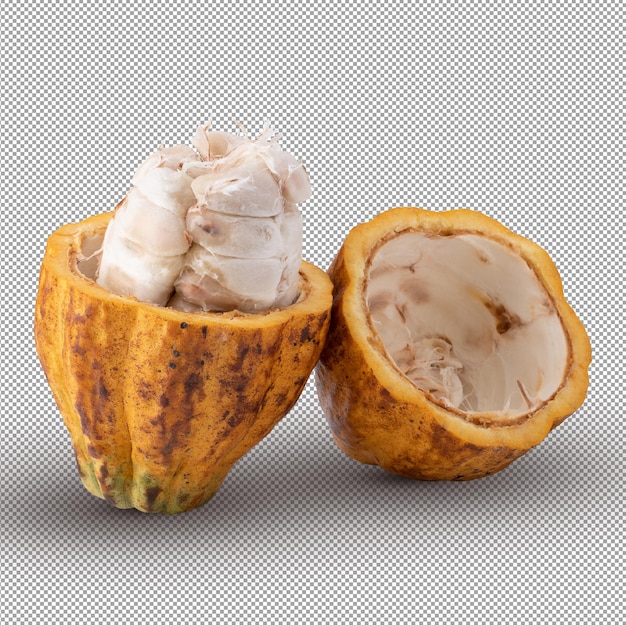 Fruits mûrs de cacao isolés sur fond blanc